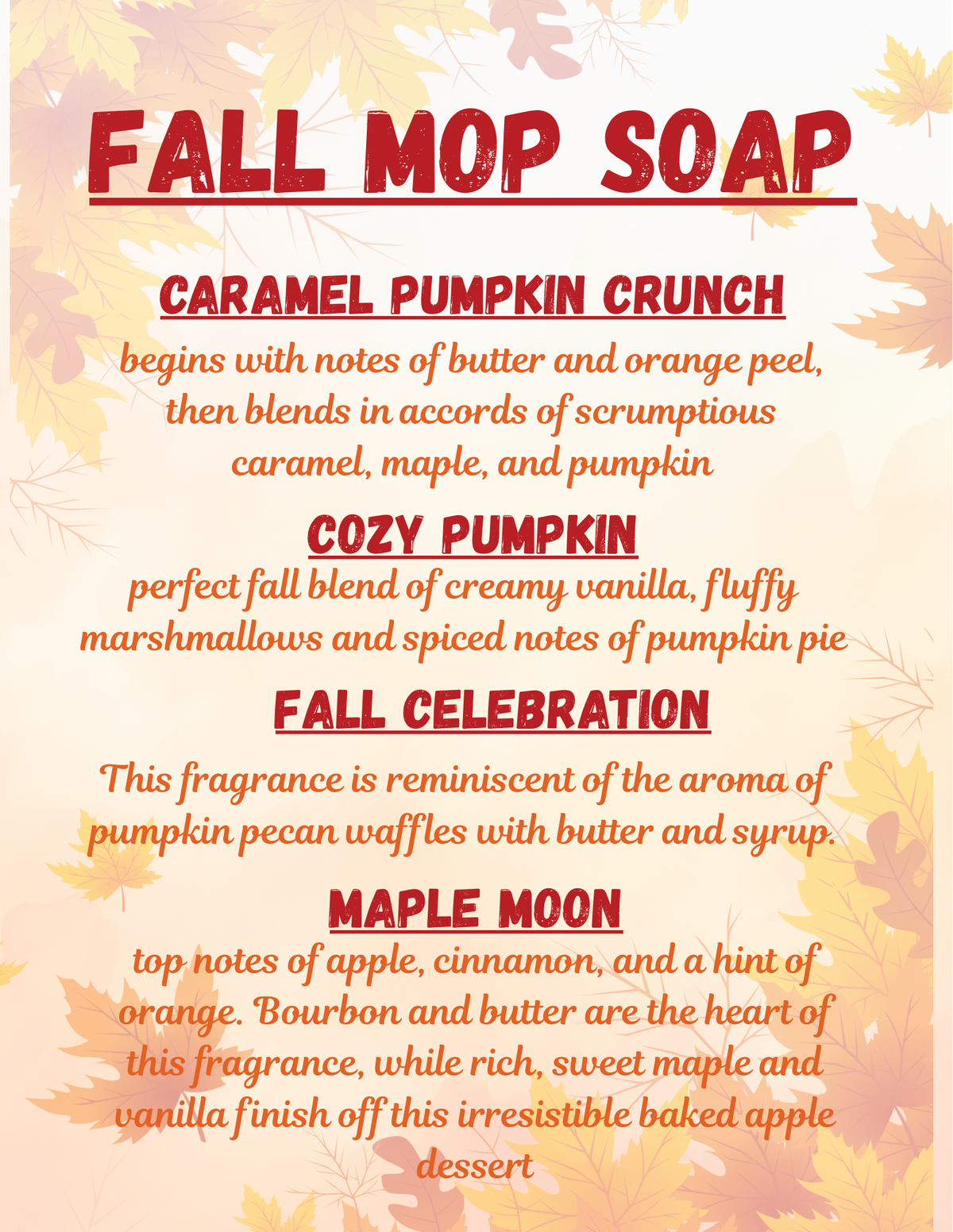 16oz Mop Soap