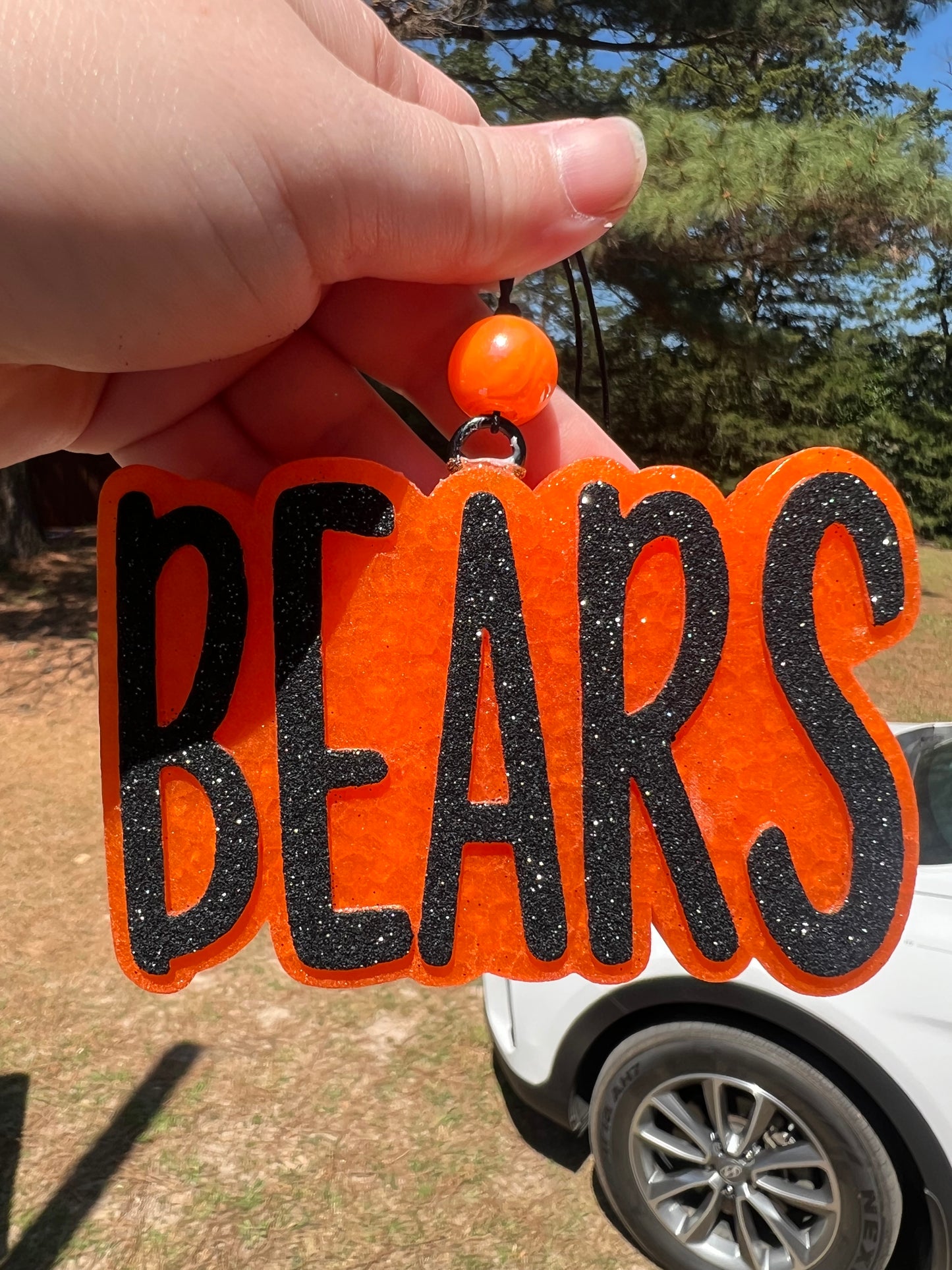 Bears Car Freshie